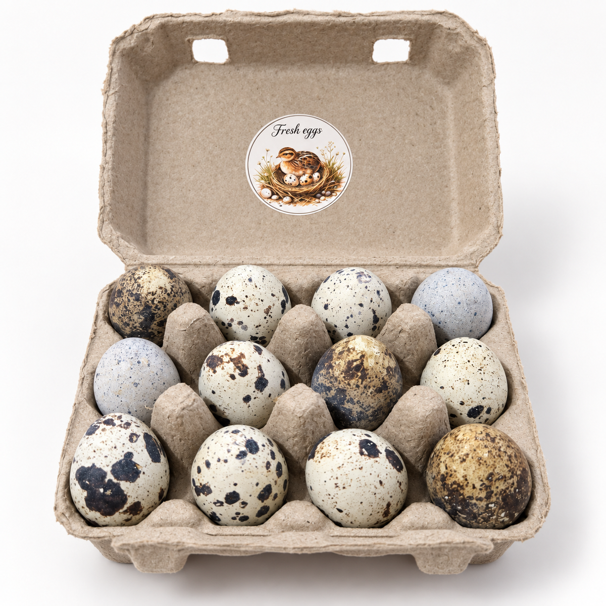 Japanese Quail Fertile Hatching Eggs – 12 Pack